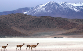 Bolvia e o Maior Deserto de Sal do Mundo